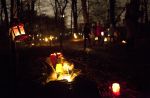 Feenwald von den Kindern des Kindergarten Altmannstraße