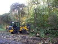 Aufräumarbeiten nach dem Sturm