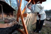 Doris Lilienthal an der neuen Futterkrippe