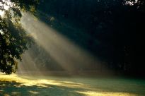 Sonnenstrahlen im Bürgerpark