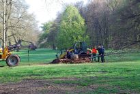 Pflanzung des Tulpenbaums, eine Baumspende für den Bürgerparkverein
