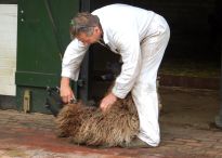 Skuddenschur im Tiergehege des Bremer Bürgerparks