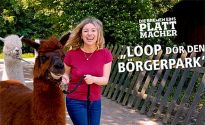 Die Plattmacher von Bremen Eins singen Loop dör den Börgerpark (Walking in Memphis)