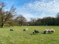 Spitzenergebnis für den Bürgerpark