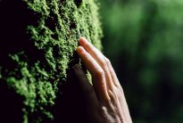 Waldbaden mit dem BUND, Foto: SHVETS production