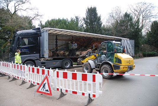 Ankunft des Baumtransportes