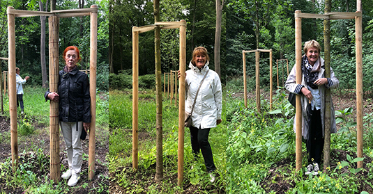 Rotary Baumspenden Rotary Baumspenden