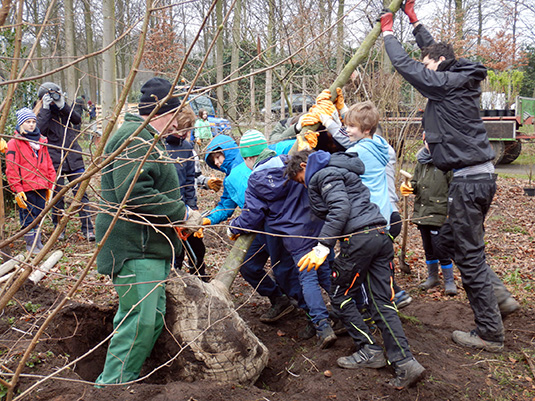 Gemeinsam wird der Baum aufgestellt